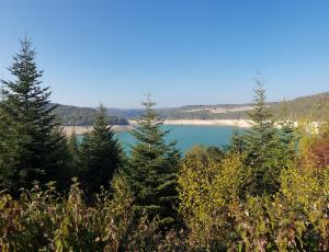 Chalet chaleureux - Cerf