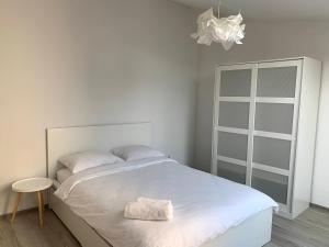 Beautiful Ultracentral Apartments