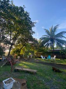 Tropical Camas Surf House