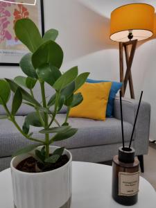 Athens Stylish Renovated 62sqm Apartment for Families & Couples with Balcony in Quiet Area near City Center