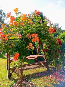 Апартаменти з двома спальнями і кухнею