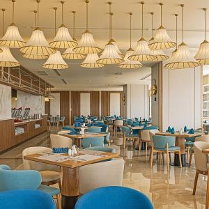 Chambay Golden Breeze Palm