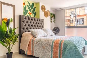 Cozy Spring Flat in Laureles