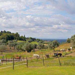 Casa Vacanze Poggettini
