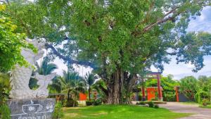 โพธิ์กลางนา รีสอร์ท คอฟฟี่แอนด์บาร์