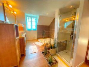 B&B / Chambres d'hotes Domaine de la Picardiere : photos des chambres
