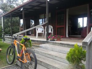 Country Cutie-Pie, close to town