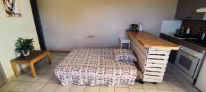 appartement proche zenith