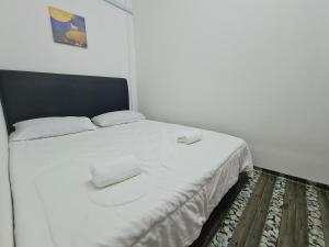 MAZ Borneo Ventures 2