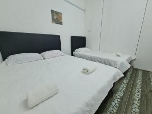 MAZ Borneo Ventures 2