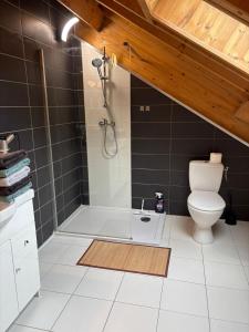 Maisons de vacances House - Jura - Lake Vouglans : photos des chambres