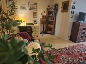 Appartement La Muse Centre Historique Rouen