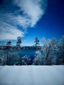 LakeView DomekNaKaszubach