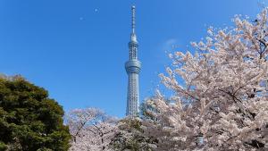 5mins from JR Kinshicho! Near Asakusa&Skytree! 1101