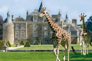 Maisons de vacances Les Reveries de Tinteniac : photos des chambres