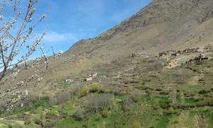 Gîte Ayour Atlas Tachddirt