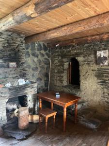 Guesthouse Tushetian Tower