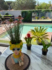 Maisons de vacances Relaxation AquatiqueGarantie100% : photos des chambres