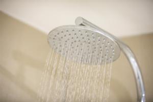 Nightelier Narrabeen