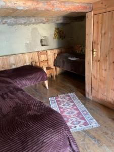 Guesthouse Tushetian Tower