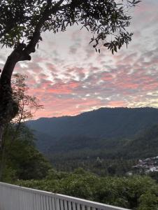 Arirang Sea View Homestay