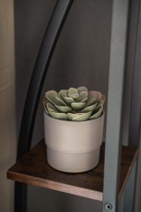 Apartment Schwarzwald mit Pool und Sauna