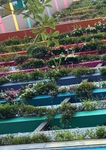 FLAMING0 RESORT IB708 Hai tien