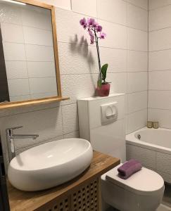 Superior Apartman Vujević, Duće