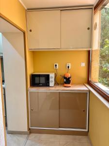 Apartament de lux cu terasă