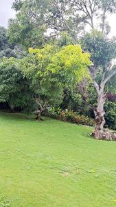 Montego Bay - Hillside Retreat