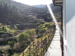 Charming Villa with Pool in Lamego