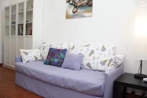 Apt S Maria near Boboli e Santo Spirito