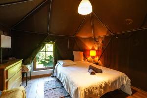Maisons de vacances Promo 20 pourcent - Grand ecran - piscine - baby foot - ideal famille ou amis : photos des chambres