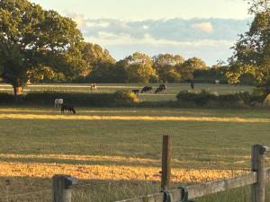 High Oak Holiday Cottage