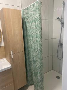 Appartements Le petit Lignon, Centre ville : photos des chambres