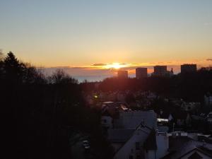 Apartament Sopot 45m2 z widokiem na las