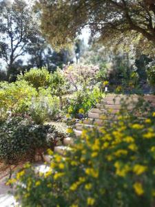 Villas Magnifique villa 3 chambres au coeur des Alpilles : photos des chambres