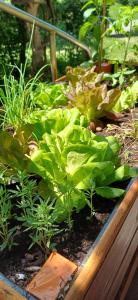 Sejours a la campagne Le Jardin D- Epicure : photos des chambres