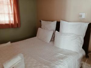 The Big Five Bed and breakfast