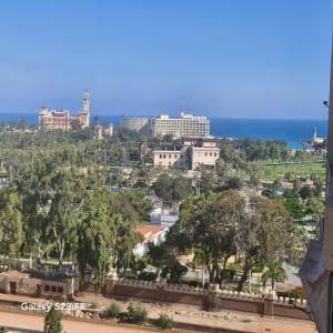 رويال فيو المنتزة Royal view Elmontaza