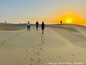 Amazing Desert Camp