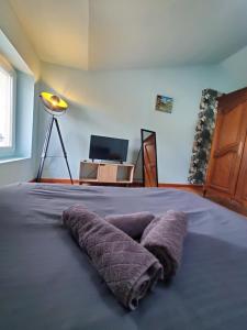 Maisons de vacances La Tomette : photos des chambres