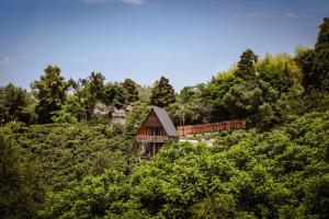 Cozy Cottage In Makhindjauri with Forest and Sea Views