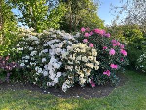 Modern house in Billund