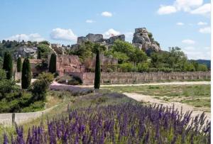 Villas Magnifique villa 3 chambres au coeur des Alpilles : photos des chambres