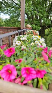 Da Simone podere santi Lucia e Pietro