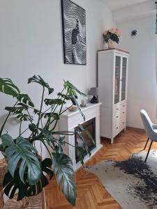 Boka view Heritage Apartment