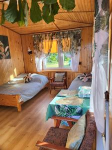 Malownicze Bieszczady - pokoje goscinne