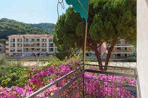 Bouganville vista mare