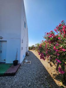 Villa BleuBlanca Tangier